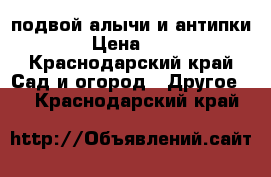 подвой алычи и антипки › Цена ­ 2 - Краснодарский край Сад и огород » Другое   . Краснодарский край